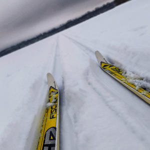 Следы в снегу, где тишина — главный гость