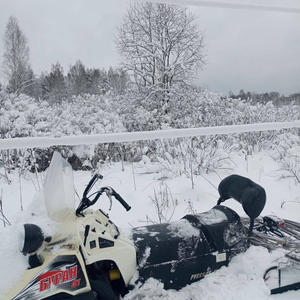 Про Селигер