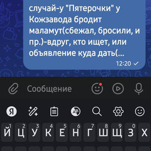 Братья меньшие