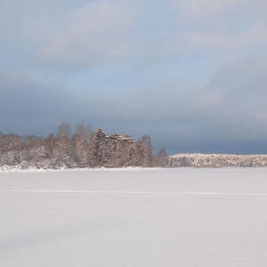 Про Селигер