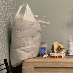 Братья меньшие