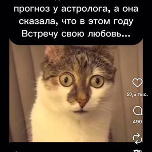 Братья меньшие