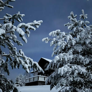 Звёзды над снежным приютом