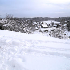 Братья меньшие