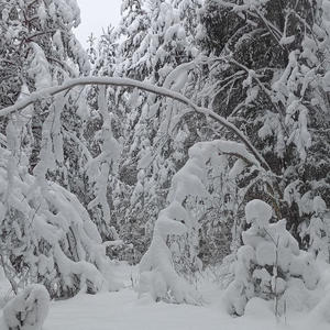 Про Селигер