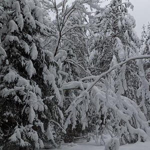 Про Селигер