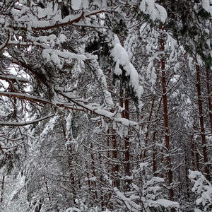 Про Селигер