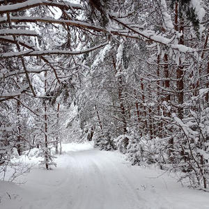 Про Селигер