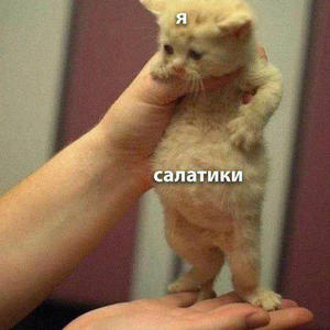 Братья меньшие