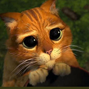 Вкуснотень