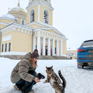 Кот в прыжке, монастырь в тишине
