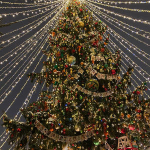 Путешествия