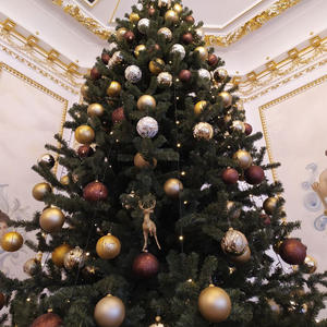 Путешествия