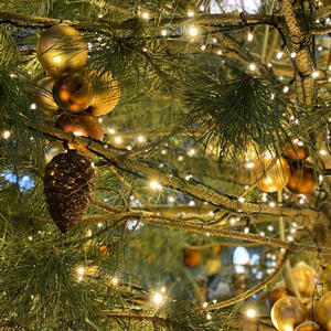 Путешествия