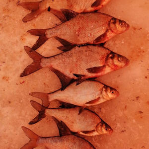 Про Селигер