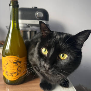 Путешествия