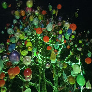 Про Селигер