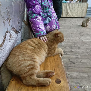 Про Селигер