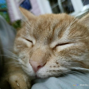 Про Селигер