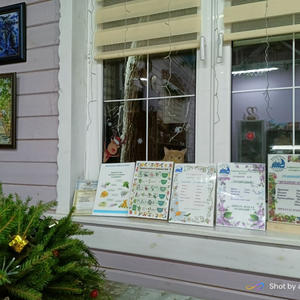 Братья меньшие