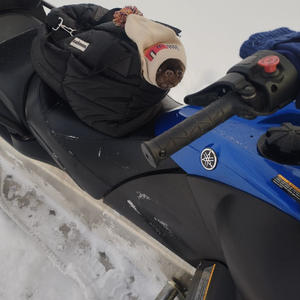 Братья меньшие