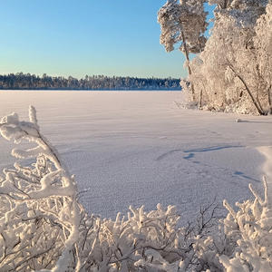 Зима здесь не спит — она поёт инеем