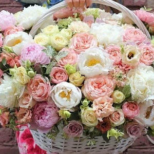 Всякое разное