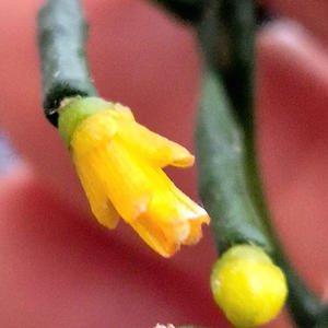 Всякое разное