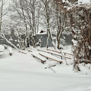 Дача и грядки