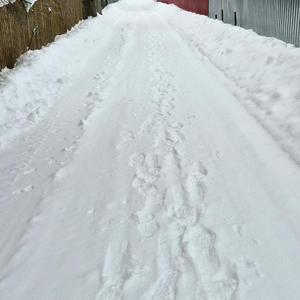 Дача и грядки