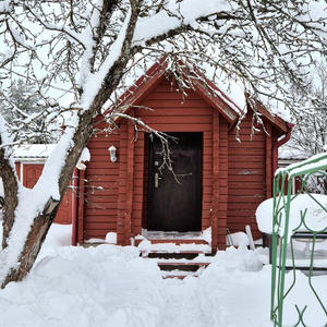 Дача и грядки