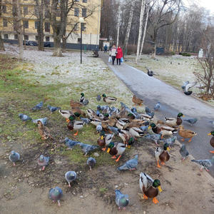 Путешествия