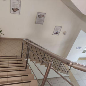 Путешествия