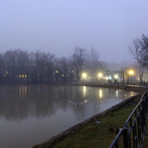 Путешествия