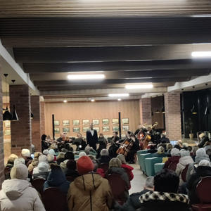 Путешествия