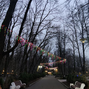 Путешествия