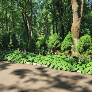 Путешествия