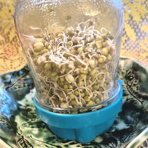 Вкуснотень