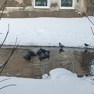 Про Селигер