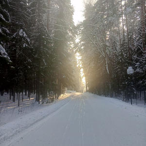 Про Селигер