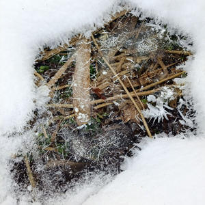 Про Селигер