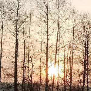 Про Селигер