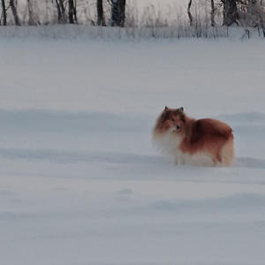 Про Селигер