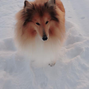 Про Селигер