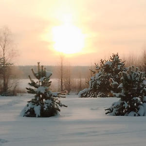 Про Селигер