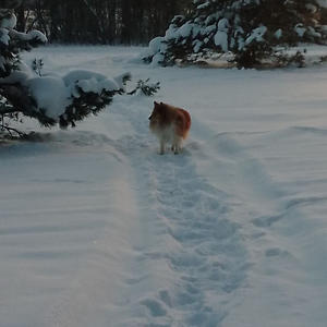 Про Селигер