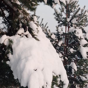 Про Селигер