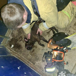 В Осташкове пожарные вынесли из горящей квартиры собаку