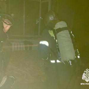 В Осташкове пожарные вынесли из горящей квартиры собаку