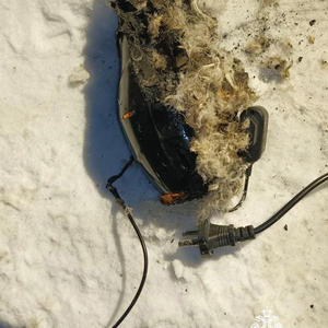 В Осташкове пожарные вынесли из горящей квартиры собаку